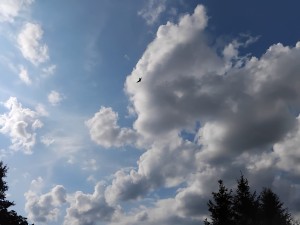 452105610_7826631157430482_3698536330524227434_n.jpg